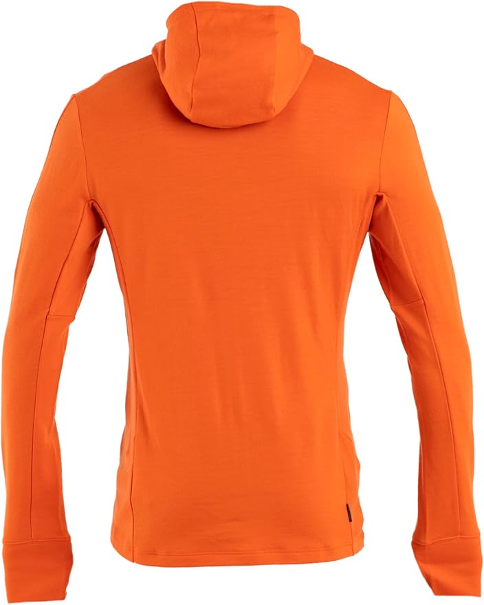 icebreaker Men's Merino 260 Quantum Long Sleeve Zip Hoodie