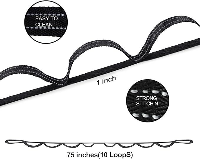A AZURELIFE Premium Durable Stretch Straps with Loops, Stretching Strap for Physical Therapy, Multi-Loop Yoga Strap Fitness Exercise Strap for Yoga, Pilates, Dance, Flexibility&Exercise