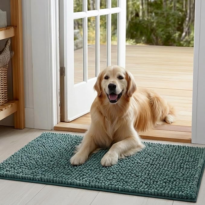 EHEYCIGA Super Absorbent Dog Door Mat