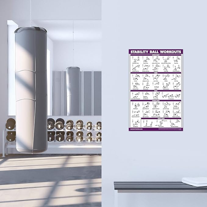 2 Pack: Half Balance Ball Workout Poster + Yoga Ball Exercise Chart - Set of 2 Workout Posters