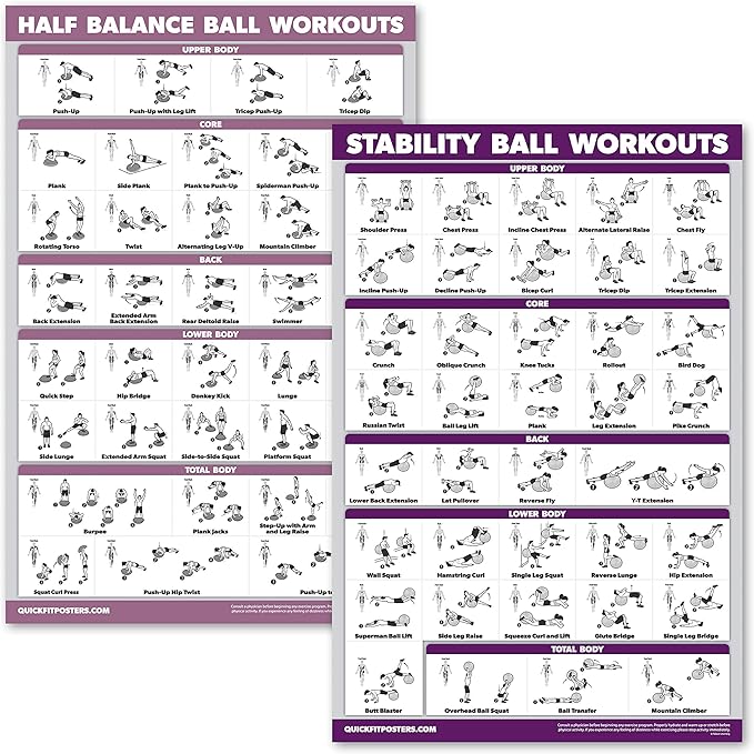 2 Pack: Half Balance Ball Workout Poster + Yoga Ball Exercise Chart - Set of 2 Workout Posters